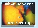 What Readers Are Saying